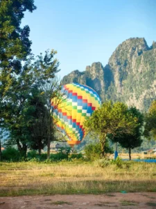 hot air balloon landing behind the tree