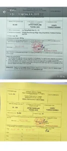 vang vieng paramotor engine certificate1