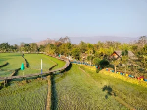 Phoun Souk garden rice field with paramotor shadow