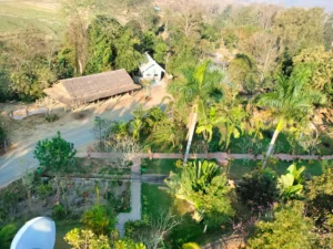PhounSouk garden